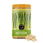 TEACURRY Organic Shatavari Roots (200 Gram Pack) - Supports Body Strength, Energy and Digestion - For Internal Wellness Herb For Men and Women - Asparagus Roots - Fast Shipping to USA & Canada