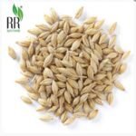 R R AGRO FOODS RR Agro Foods 100% Naturally Grown Raw Barley (Jou, Jai, Yav) (10 KG) - Fast Shipping to USA & Canada