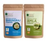 Bliss of Earth 100gm Bhringraj Powder Orgnaic Herbal Edible & 100% Pure Natural AMLA Powder 100GM Indian Gooseberry Great For Hair Conditioning - Fast Shipping to USA & Canada