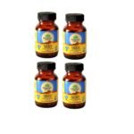 ORGANIC INDIA Turmeric Formula 60 Capsules | Strong anti-inflammatory | Enhances Skin, Bone, and Joint Health - (Pack of 4)