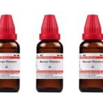 Dr. Willmar Schwabe India Bacopa Monnieri (Brahmi) Q (Pack of 3) - Fast Shipping to USA