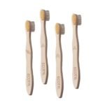 Ecotyl Bamboo Tooth Brush | Ultra Soft Bristles | Thorough Cleaning | Set of 4 - Fast Shipping to USA & Canada