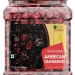 Bliss of Earth 500gm Whole Dried American Cranberries Exotic Dry Fruit Vitamins E, K & C Rich - Fast Shipping to USA & Canada
