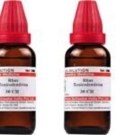 Dr. Willmar Schwabe India Rhus Toxicodendron 30 CH 30ml (Pack of 3) - Fast Shipping to USA