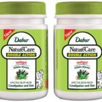 Dabur Nature Carel Double Action Isabgol, Trifala And Ajwain - 100g | Effective Relief From Constipation & Gas (Pack of 2) - Fast Shipping to USA