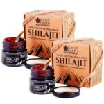 Bliss of Earth Original Surya Tapi Himalayan Shilajit Resin For Men & Women, Shilajeet/Mumio, Rich in Fulvic Acid & Minerals, 2x20gm - Fast Shipping to USA