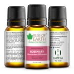 Bliss of Earth ROSEMARY Essential Oil Premium 100% Pure & Natural therapeutic Grade ideal for Aromatherapy 10ml - Fast Shipping to USA