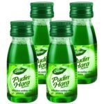 Dabur Pudin Hara Active - 30ml (Pack of 4) | Stimulates Digestion | Fast & Effective Relief from Indigestion | Provides Cooling Relief - Fast Shipping to USA
