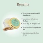 Just Herbs Liquorice Shea Lip Butter Balm, 8g Transparent - Fast Shipping to USA & Canada - Image 4