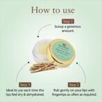 Just Herbs Liquorice Shea Lip Butter Balm, 8g Transparent - Fast Shipping to USA & Canada - Image 6