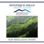 Mystique Hills Sub Himalayan Honey,1 Kg - Fast Shipping to USA & Canada