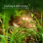 Blue Nectar Shubhr Steam Distilled Vetiver Toner Water & Cooling Calming Face Tonic Mist |Alcohol Free | Chemical & Preservative Free (100 ml) - Fast Shipping to USA & Canada - Image 5