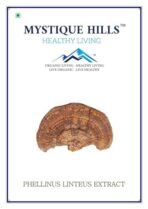 Mystique Hills Phellinus linteus Mushroom Extract 50 g - Image 2