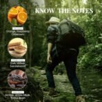 Just Herbs Energising Forest Wood Eau Da Parfum for Men and Women 50 ml | Long Lasting Body Spray Unisex Perfume - Fast Shipping to USA & Canada - Image 5