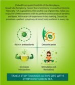 Goodricke Symphony Green Tea Pure & Natural, 25 Tea Bags (Pack of 2) | Detoxification & Boost Immunity | Increases Metabolism - Fast Shipping to USA & Canada - Image 4