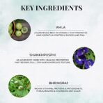 Just Herbs Ayurvedic Shirolepam Hair & Scalp Treatment Mask Cream For Hair Growth, Hairfall & Damaged Hair- Paraben & Silicon Free Hair Mask For Men & Women 200g - Fast Shipping to USA & Canada - Image 5