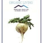 Mystique Hills Maca Root Powder, 200 g