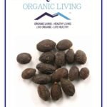 Mystique Hills Organic Saw Palmetto Berries Powder 50 g