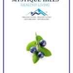 Mystique Hills Blueberry Powder (50 g)