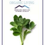 Mystique Hills Organic Dried Fenugreek Leaves, KasooriI Methi, 100 g