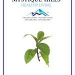 Mystique Hills Longevity Spinach Powder 50 g