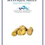 Mystique Hills Tree Turmeric, Coscinium fenestratum (100 g)