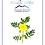 Mystique Hills Tribulus terrestris powder 100 g