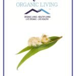 Mystique Hills Eucalyptus Flower Tea Powder - Fast Shipping to USA & Canada