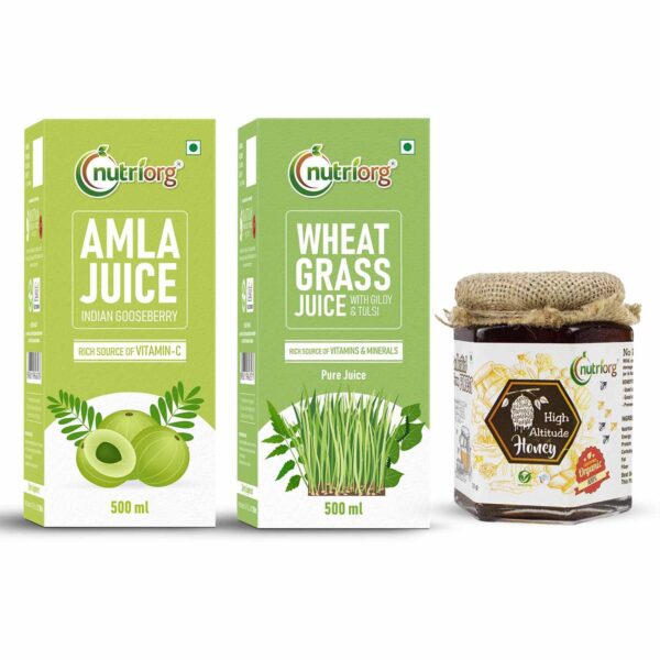Nutriorg Amla, Wheat Grass Juice & Certified Organic High Altitude Honey 250g (Combo Of 3) - Fast Shipping to USA & Canada