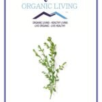 Mystique Hills Prostrate Knotgrass Powder. 50 g