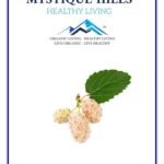 Mystique Hills White Mulberry Bark Powder (50 g)
