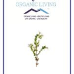 Mystique Hills - Organic Living Eyebright Powder(50 G)