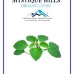 Mystique Hills Indian Nettle Leaf Herbal Tea, Indian Copperleaf 100 g - Fast Shipping to USA & Canada
