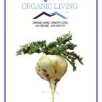 Mystique Hills Maca Root Powder 50 g