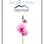 Mystique Hills Organic Malva sylvestris Powder 50 g