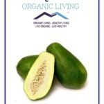 Mystique Hills Raw Green Papaya Fruit Powder100 g