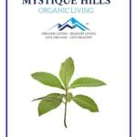 Mystique Hills Loquat Leaves Extract (50 g)