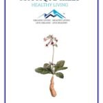 Mystique Hills Rehmannia Root Powder (50 g)