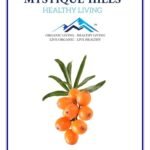 Mystique Hills Sea Buckthorn berries powder 100 g