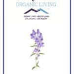 Mystique Hills Organic Blue Skullcap Powder 50 g