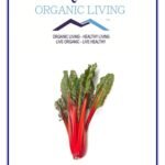 Mystique Hills Turkish Rhubarb Root Powder, 50 g