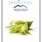 Mystique Hills Corn Silk Powder 50 g