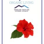 Mystique Hills Organic Shade Dried Hibiscus Flower Herbal Tea Powder,100 g - Fast Shipping to USA & Canada