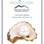 Mystique Hills Golden Pearl Mask Powder, Edible Grade 25 g