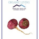 Mystique Hills Red Maca Root Powder 100 g