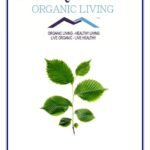 Mystique Hills Organic Slippery Elm Powder -50 g