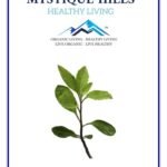 Mystique Hills Longevity Spinach Powder 100 g