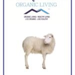 Mystique Hills Sheep Placenta Powder, 50 g