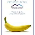 Mystique Hills Secret Garden Organic Banana Peel Powder, 100 g