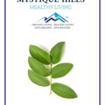 Mystique Hills Guava Leaf Tea (100 g) - Fast Shipping to USA & Canada